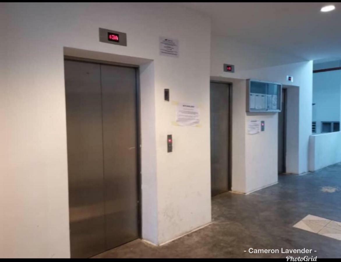 קמרון היילנדס Cameron Lavender Homestay מראה חיצוני תמונה